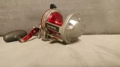 Daiwa Sealine Ishidai – 40H
